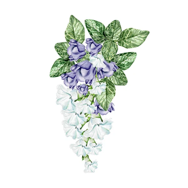 Les Pétunias Fleurissent Les Feuilles Bouquet Mariage Floral Illustration Aquarelle — Photo