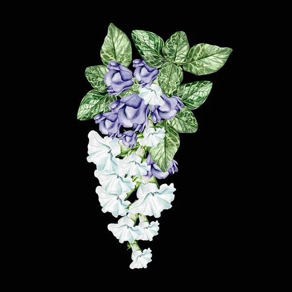 Blüten Und Blätter Von Petunien Floraler Brautstrauß Aquarellillustration — Stockfoto