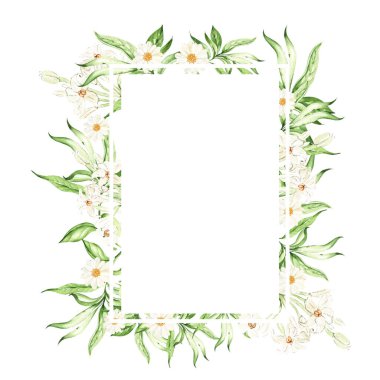 Tropical leaves, flowers,  card on white background, watercolor illustration, hand drawing