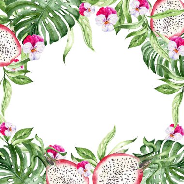 Dragon fruit and pansy flowers, tropical leaves, card on white background, watercolor illustration, hand drawing