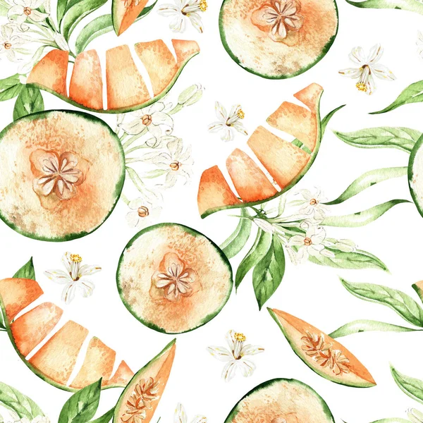 Melon Bezszwowe Wzory Białym Tle Ilustracja Akwarela Rysunek Dłoni — Zdjęcie stockowe