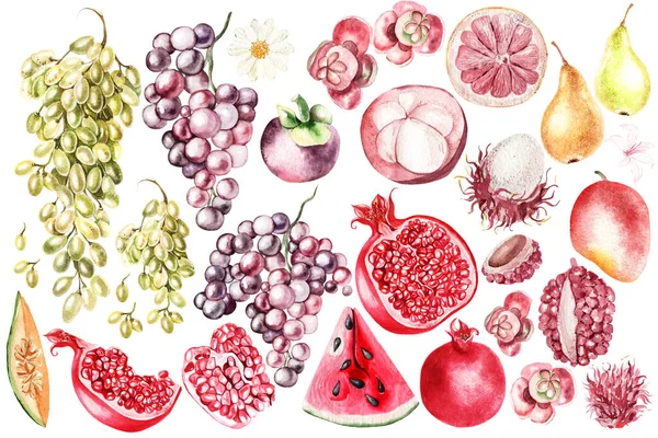 Set Con Frutta Melograno Anguria Melone Uva Pera Rambutan Mangostano — Foto Stock