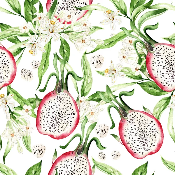Fragon Fruit Leaves Seamless Patterns White Background Watercolor Illustration Hand — Stock Photo, Image