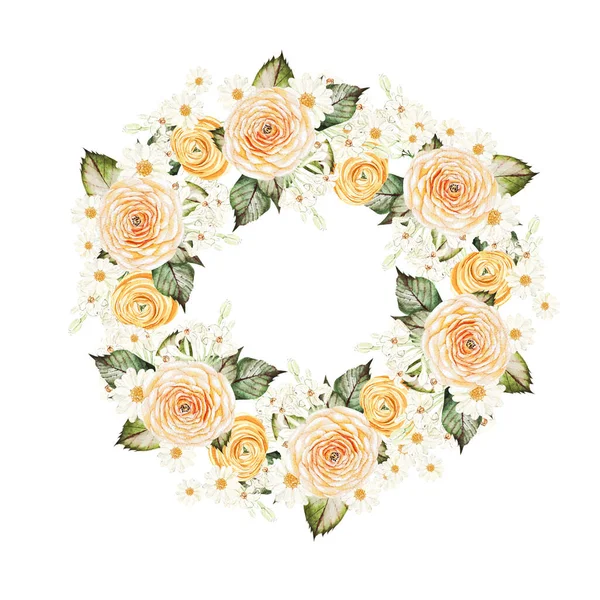 Ranunculus Chamomile Flowers Wreath White Background Watercolor Illustration Hand Drawing — Stockfoto