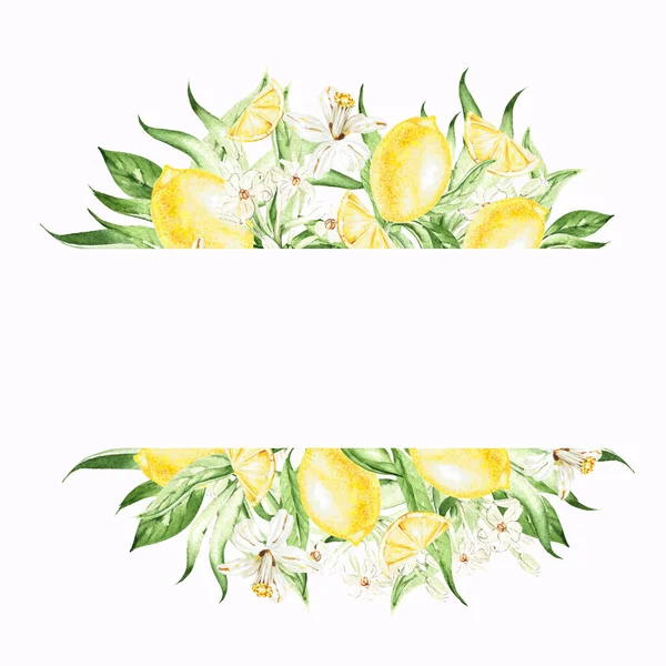 Tropical Lemon Fruits Leaves Flowers Card White Background Watercolor Illustration — Stockfoto