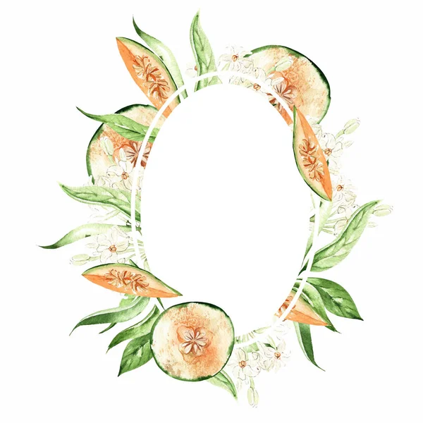 Melon Fruit Leaves Card White Background Watercolor Illustration Hand Drawing — Stockfoto