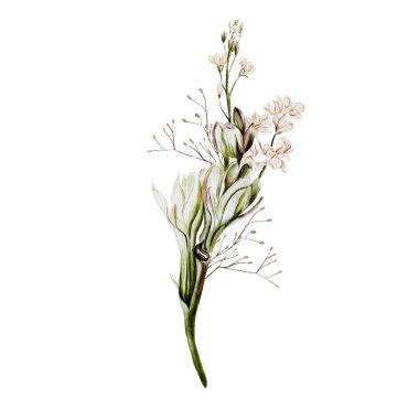 Wildstream ve hebs ile suluboya buket. Görüntü