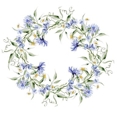 Çiçekli suluboya çelenk ve papatya çayı, yapraklar. Görüntü