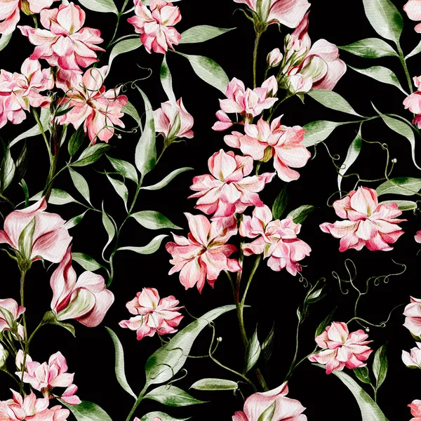 Aquarel Naadloos Patroon Met Erwtenbloemen Bladeren Illustratie — Stockfoto