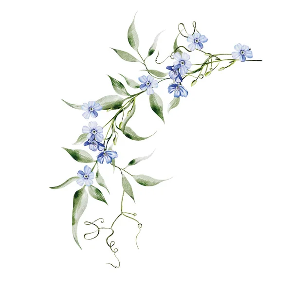 Aquarel Krans Met Bloemen Van Korenbloemen Kamille Bladeren Illustratie — Stockfoto