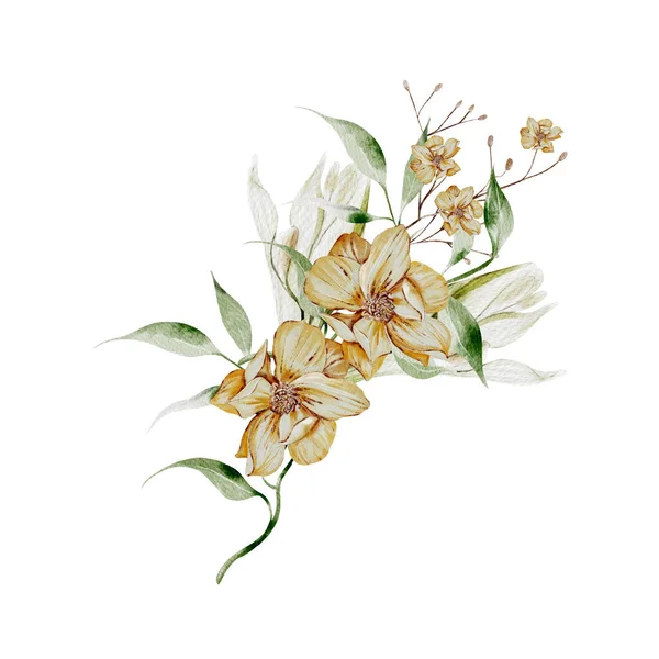 Akvarell Vadvirágokat Vadvirágokat Áraszt Illusztráció — Stock Fotó