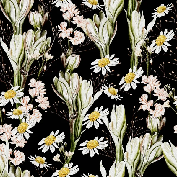 Akwarela Bezszwowy Wzór Rumianku Kwiaty Dzikie Kwiaty Ilustracja — Zdjęcie stockowe