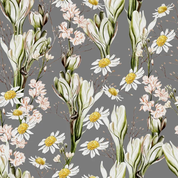 Watercolor Seamless Pattern Chamomile Flowers Wild Flowers Illustration — Stock Photo, Image