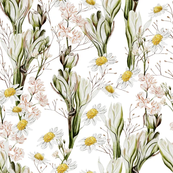 Aquarel Naadloos Patroon Met Kamille Bloemen Wilde Bloemen Illustratie — Stockfoto