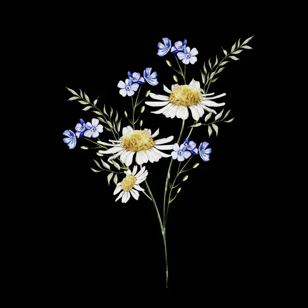 Akvarell Csokor Vad Virágok Kukoricavirág Kamilla Illusztráció — Stock Fotó