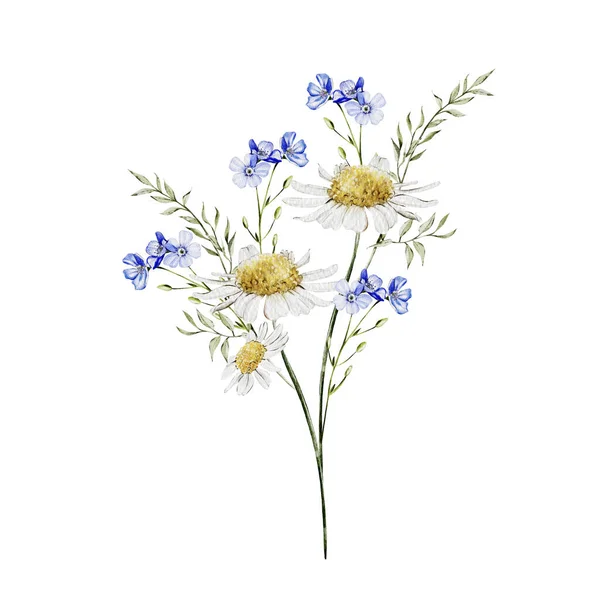 Aquarellstrauß Mit Wilden Blumen Aus Kornblumen Und Kamille Illustration — Stockfoto