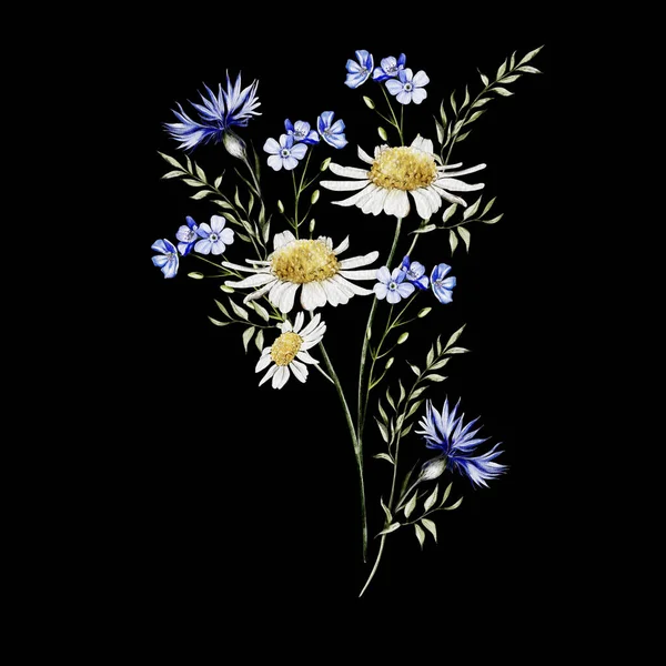 Buquê Aquarela Com Flores Silvestres Milho Camomila Ilustração — Fotografia de Stock