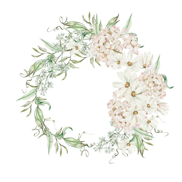 Aquarellkranz Mit Hortensienblüten Und Kamille Grüne Blätter Illustration — Stockfoto