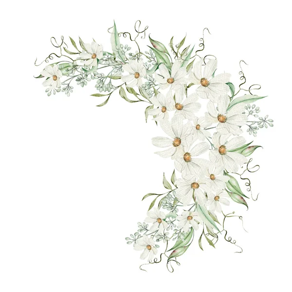 Couronne Aquarelle Avec Fleurs Hortensia Camomille Feuilles Vertes Illustration — Photo