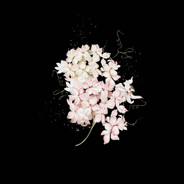 Cartes Aquarelle Avec Fleurs Hortensia Illustration — Photo