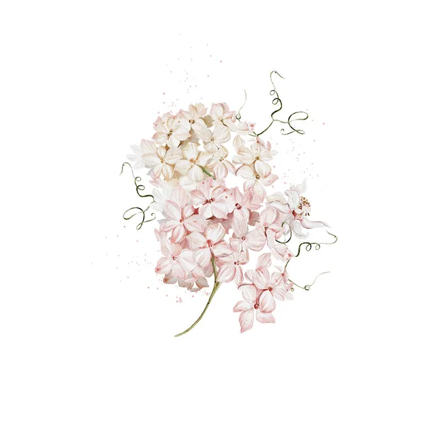 Aquarellkarten Mit Hortensienblüten Illustration — Stockfoto