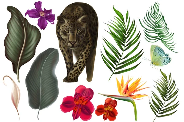 Tropická Souprava Zelenými Listy Květy Ilustrace — Stock fotografie