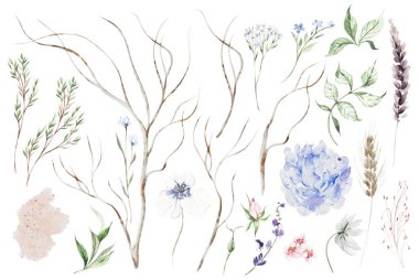 Farklı elementlerle suluboya seti. Görüntü