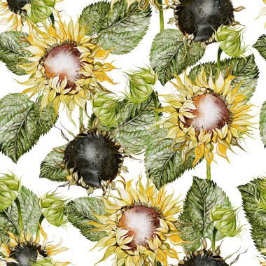 Ayçiçekleri ve yapraklarla suluboya desenli. Görüntü
