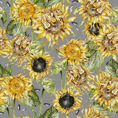 Ayçiçekleri ve yapraklarla suluboya desenli. Görüntü