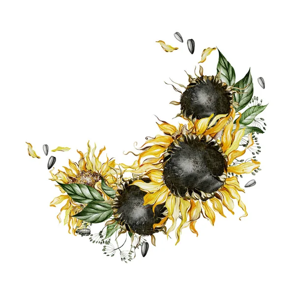 Aquarellkranz Mit Sonnenblumen Und Blättern Illustration — Stockfoto