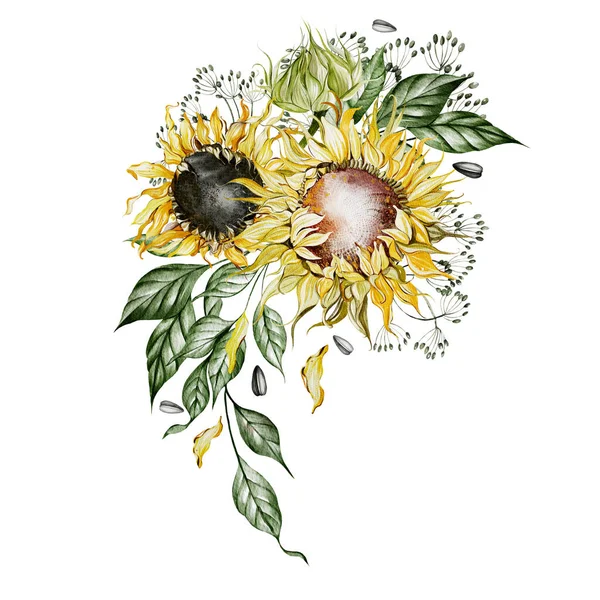 Watercolor bouquets with sunflowers and leaves. Illustration