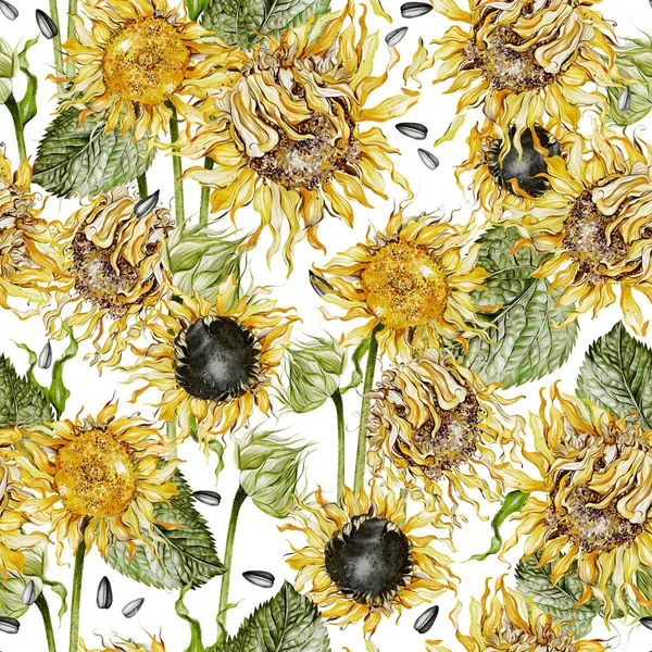 Ayçiçekleri ve yapraklarla suluboya desenli. Görüntü