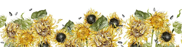 Aquarelleinfassungen Mit Sonnenblumen Und Blättern Illustration — Stockfoto