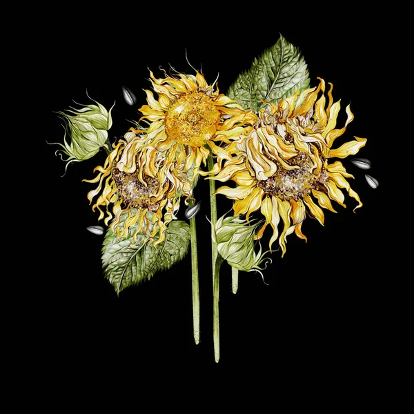 Aquarellstrauß Mit Sonnenblumen Und Blättern Illustration — Stockfoto