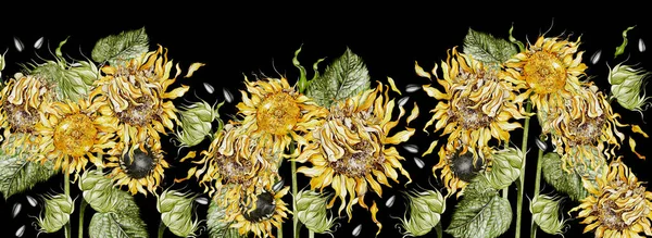 Aquarelleinfassungen Mit Sonnenblumen Und Blättern Illustration — Stockfoto