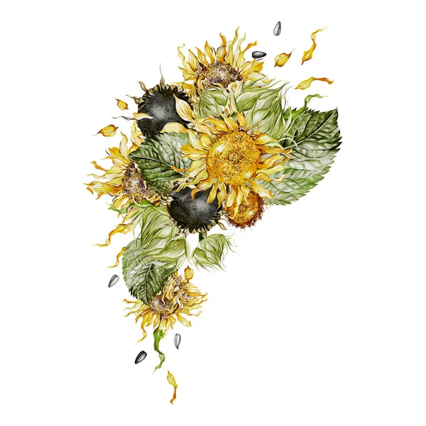Watercolor bouquet with sunflowers and  leaves. Illustration