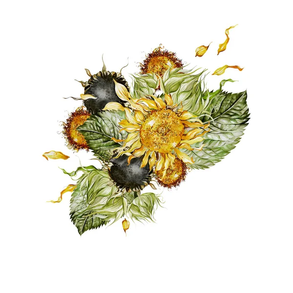 Aquarellstrauß Mit Sonnenblumen Und Blättern Illustration — Stockfoto