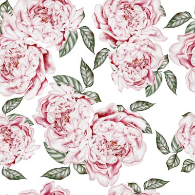 Şakayık çiçekli suluboya desenli. Görüntü