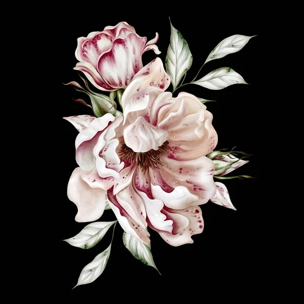 Watercolor Bouquet Roses Peony Flowers Illustration — Fotografia de Stock