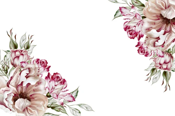 Watercolor Card Roses Peony Flowers Illustration — Fotografia de Stock