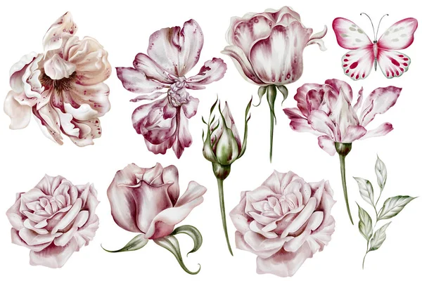 Acuarela Engastada Con Rosas Flores Peonía Hojas Ilustración —  Fotos de Stock