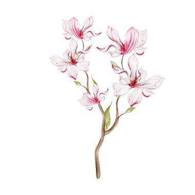 Suluboya düğün manolyası buketi. Görüntü