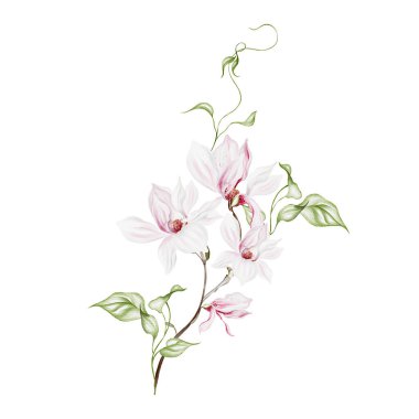 Suluboya düğün manolyası buketi. Görüntü