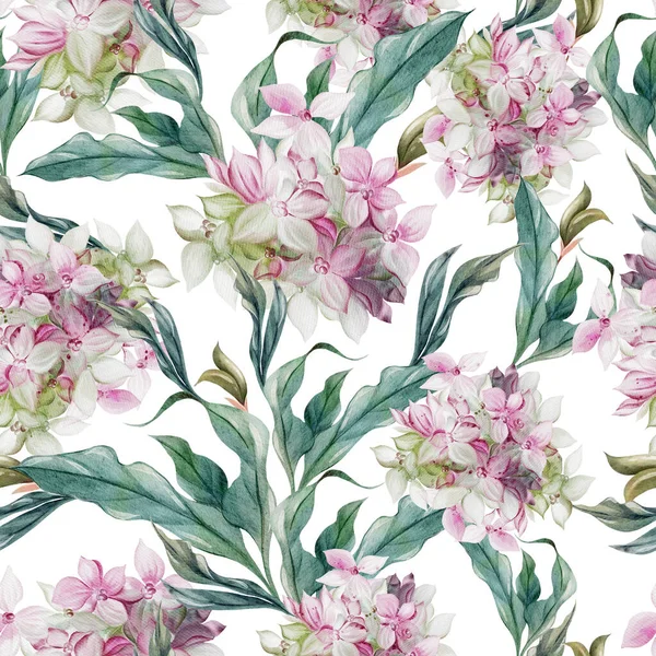 Wedding Watercolor Seamless Pattern Hydrangea Leaves Flowers Illustration — Stock Photo, Image