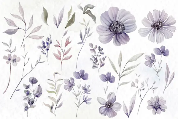Zestaw Akwareli Różnymi Liśćmi Kwiatami Ilustracja Zdjęcie Stockowe