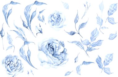 Yumuşak mavi güller ve yapraklarla suluboya düğün seti. Görüntü