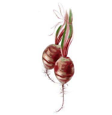 Watercolor set with different beets.  clipart