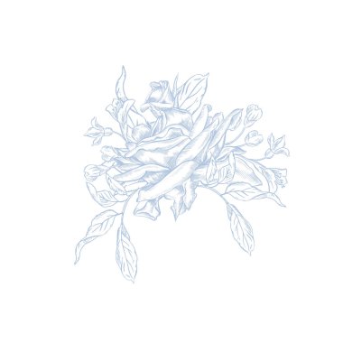 Klasik Toile de Jouy elementleri mavi renkte ayarlandı. resimleme