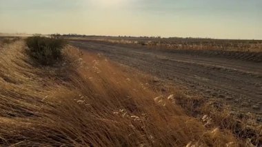 Altın saat boyunca tozlu bozkırlarda motosiklet sürmek