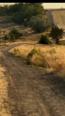 Altın saat boyunca tozlu bozkırlarda motosiklet sürmek